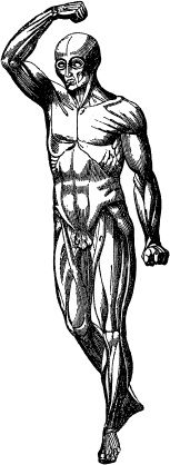 Модицина. Encyclopedia Pathologica Модицина. Encyclopedia Pathologica