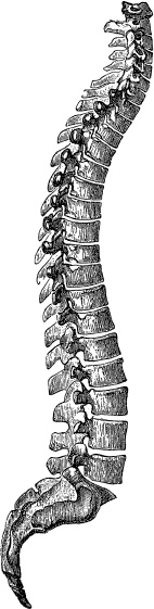 Модицина. Encyclopedia Pathologica Модицина. Encyclopedia Pathologica