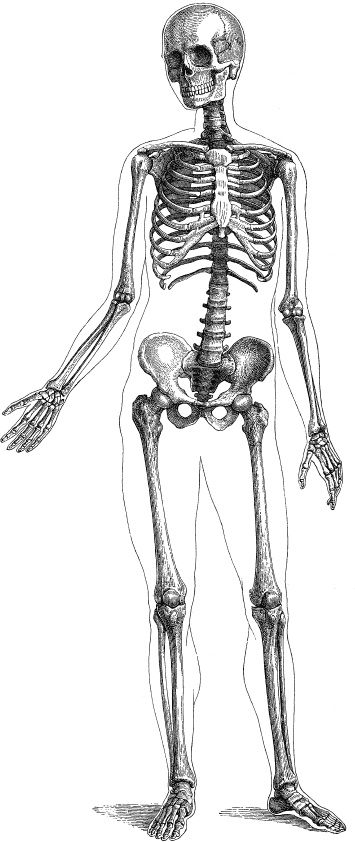 Модицина. Encyclopedia Pathologica Модицина. Encyclopedia Pathologica