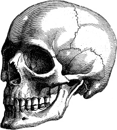 Модицина. Encyclopedia Pathologica Модицина. Encyclopedia Pathologica