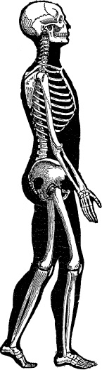 Модицина. Encyclopedia Pathologica Модицина. Encyclopedia Pathologica