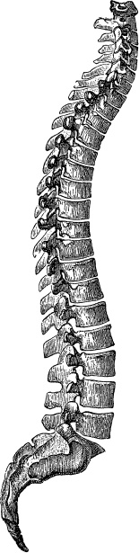 Модицина. Encyclopedia Pathologica Модицина. Encyclopedia Pathologica