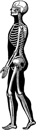 Модицина. Encyclopedia Pathologica Модицина. Encyclopedia Pathologica