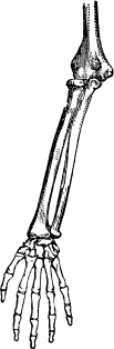 Модицина. Encyclopedia Pathologica Модицина. Encyclopedia Pathologica