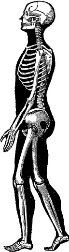 Модицина. Encyclopedia Pathologica Модицина. Encyclopedia Pathologica