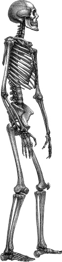 Модицина. Encyclopedia Pathologica Модицина. Encyclopedia Pathologica
