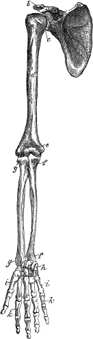 Модицина. Encyclopedia Pathologica Модицина. Encyclopedia Pathologica