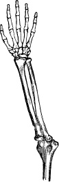 Модицина. Encyclopedia Pathologica Модицина. Encyclopedia Pathologica