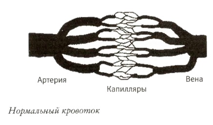 Мой инсульт был мне наукой. История собственной болезни, рассказанная нейробиологом Мой инсульт был мне наукой. История собственной болезни, рассказанная нейробиологом