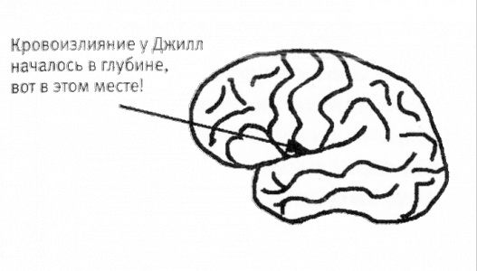 Мой инсульт был мне наукой. История собственной болезни, рассказанная нейробиологом Мой инсульт был мне наукой. История собственной болезни, рассказанная нейробиологом