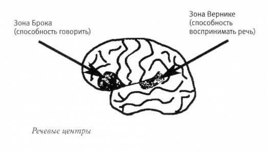 Мой инсульт был мне наукой. История собственной болезни, рассказанная нейробиологом Мой инсульт был мне наукой. История собственной болезни, рассказанная нейробиологом