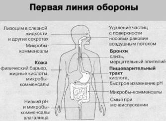 Имя ему СПИД. Четвертый всадник Апокалипсиса Имя ему СПИД. Четвертый всадник Апокалипсиса