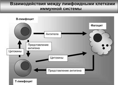 Имя ему СПИД. Четвертый всадник Апокалипсиса Имя ему СПИД. Четвертый всадник Апокалипсиса