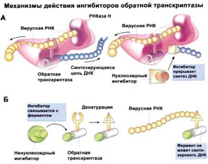Имя ему СПИД. Четвертый всадник Апокалипсиса Имя ему СПИД. Четвертый всадник Апокалипсиса