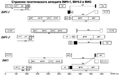 Имя ему СПИД. Четвертый всадник Апокалипсиса Имя ему СПИД. Четвертый всадник Апокалипсиса