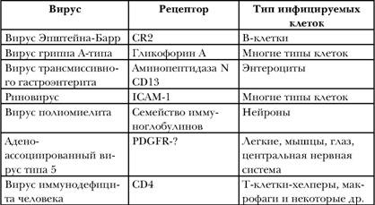 Имя ему СПИД. Четвертый всадник Апокалипсиса Имя ему СПИД. Четвертый всадник Апокалипсиса