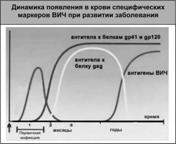 Имя ему СПИД. Четвертый всадник Апокалипсиса Имя ему СПИД. Четвертый всадник Апокалипсиса