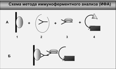 Имя ему СПИД. Четвертый всадник Апокалипсиса Имя ему СПИД. Четвертый всадник Апокалипсиса