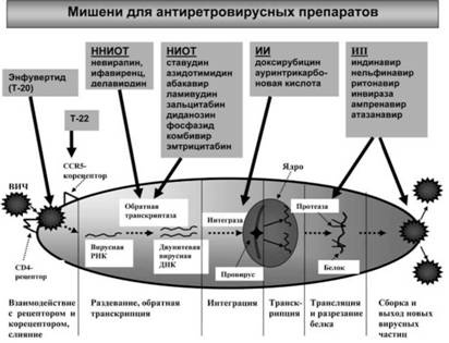 Имя ему СПИД. Четвертый всадник Апокалипсиса Имя ему СПИД. Четвертый всадник Апокалипсиса