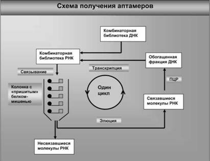 Имя ему СПИД. Четвертый всадник Апокалипсиса Имя ему СПИД. Четвертый всадник Апокалипсиса