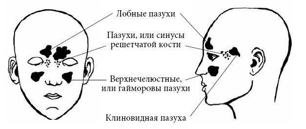 Если ваш ребенок заболел. Что должны знать и уметь родители Если ваш ребенок заболел. Что должны знать и уметь родители