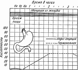 Этюды желудочной хирургии Этюды желудочной хирургии