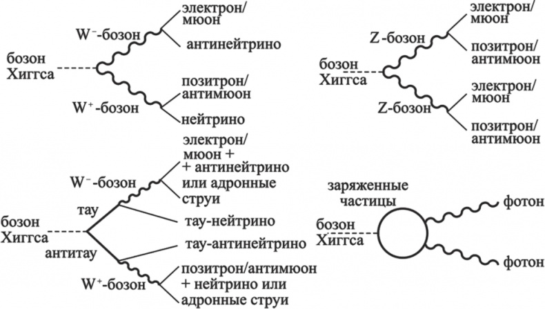 Частица на краю Вселенной. Как охота на бозон Хиггса ведет нас к границам нового мира Частица на краю Вселенной. Как охота на бозон Хиггса ведет нас к границам нового мира