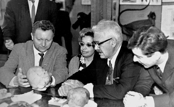 Расы Европы Расы Европы