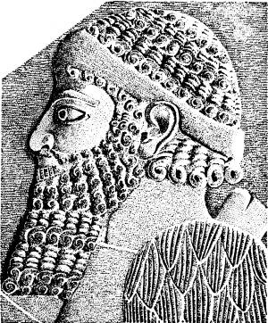 Расы Европы