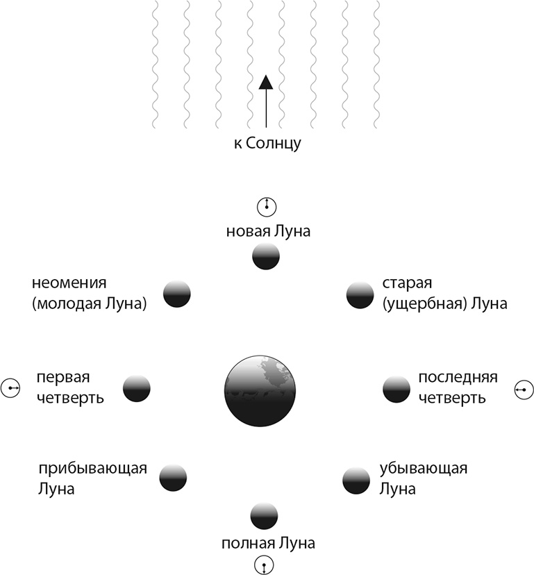 Квантовая вселенная. Как устроено то, что мы не можем увидеть Квантовая вселенная. Как устроено то, что мы не можем увидеть