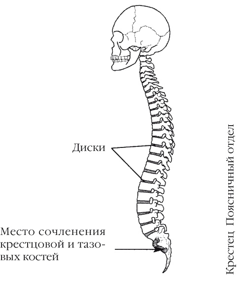 Странности нашей эволюции Странности нашей эволюции