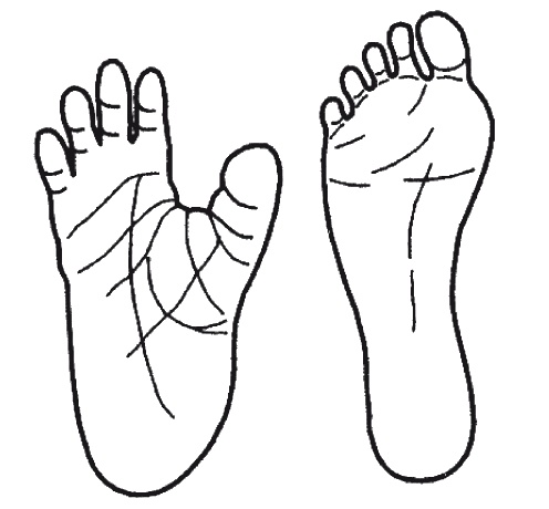 Странности нашей эволюции