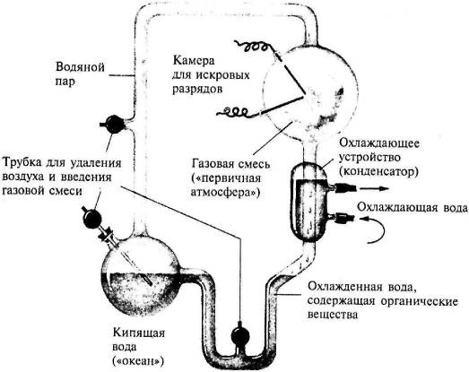 Пять нерешенных проблем науки Пять нерешенных проблем науки