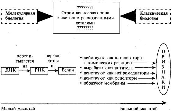 Пять нерешенных проблем науки Пять нерешенных проблем науки