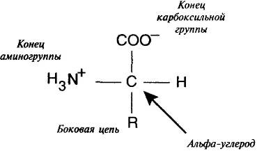 Пять нерешенных проблем науки Пять нерешенных проблем науки