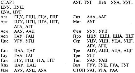 Пять нерешенных проблем науки Пять нерешенных проблем науки