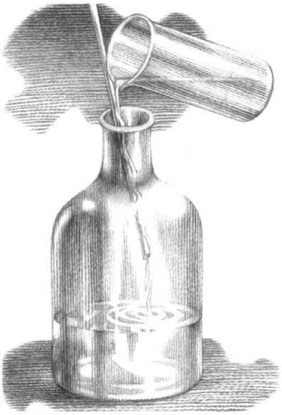 Веселые научные опыты и эксперименты Веселые научные опыты и эксперименты