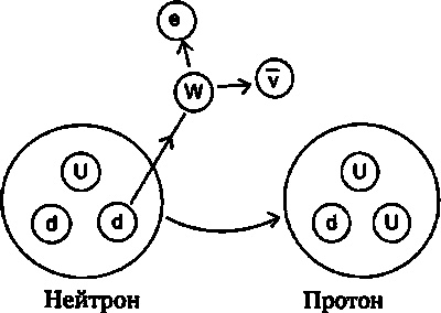 Эволюция Вселенной и происхождение жизни