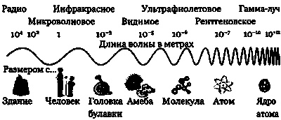 Эволюция Вселенной и происхождение жизни Эволюция Вселенной и происхождение жизни