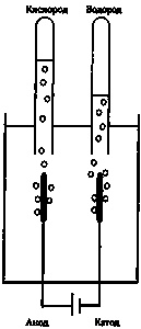 Эволюция Вселенной и происхождение жизни Эволюция Вселенной и происхождение жизни