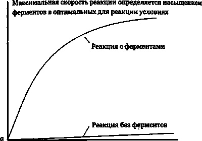 Эволюция Вселенной и происхождение жизни Эволюция Вселенной и происхождение жизни