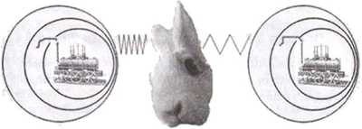 Эволюция Вселенной и происхождение жизни Эволюция Вселенной и происхождение жизни
