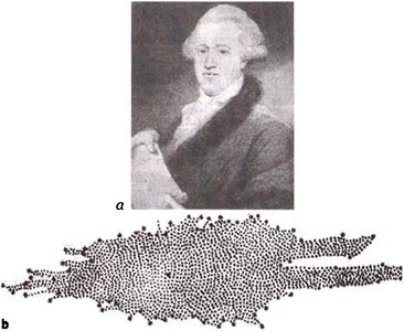 Эволюция Вселенной и происхождение жизни Эволюция Вселенной и происхождение жизни