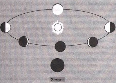 Эволюция Вселенной и происхождение жизни Эволюция Вселенной и происхождение жизни