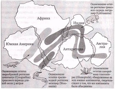 Эволюция Вселенной и происхождение жизни Эволюция Вселенной и происхождение жизни