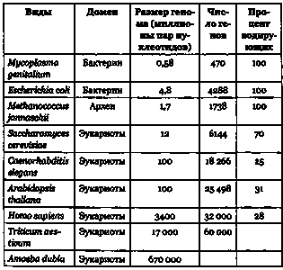 Эволюция Вселенной и происхождение жизни Эволюция Вселенной и происхождение жизни