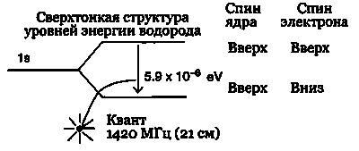 Эволюция Вселенной и происхождение жизни Эволюция Вселенной и происхождение жизни