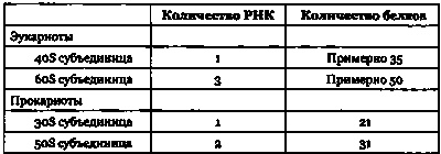 Эволюция Вселенной и происхождение жизни Эволюция Вселенной и происхождение жизни
