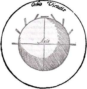 Эволюция Вселенной и происхождение жизни Эволюция Вселенной и происхождение жизни