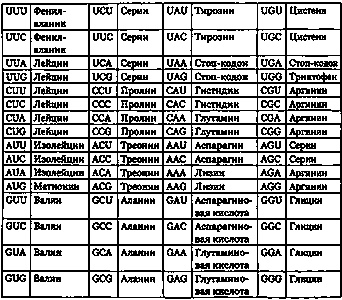 Эволюция Вселенной и происхождение жизни Эволюция Вселенной и происхождение жизни